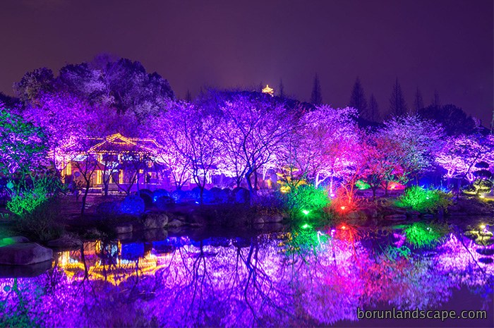 节日彩灯